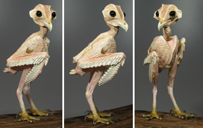 An owl without feathers