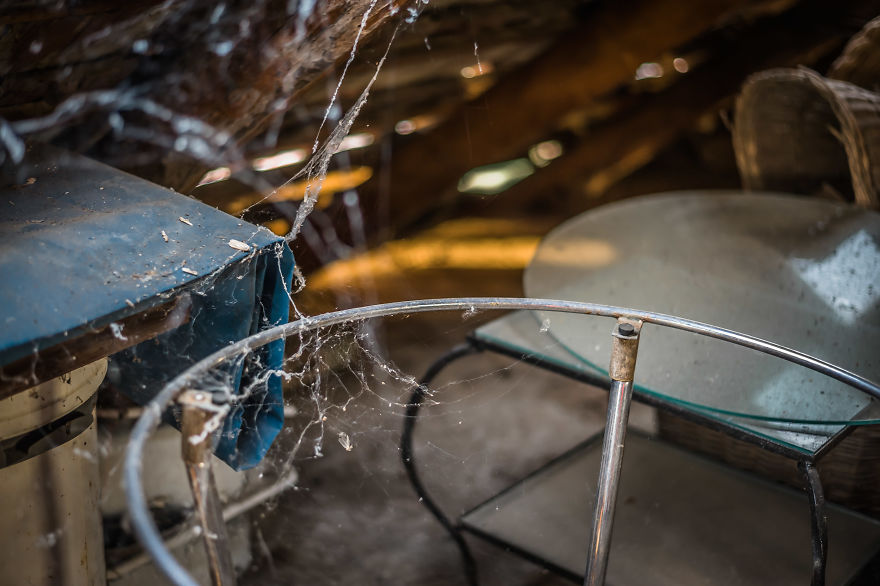 Forgotten Attic Time Capsule