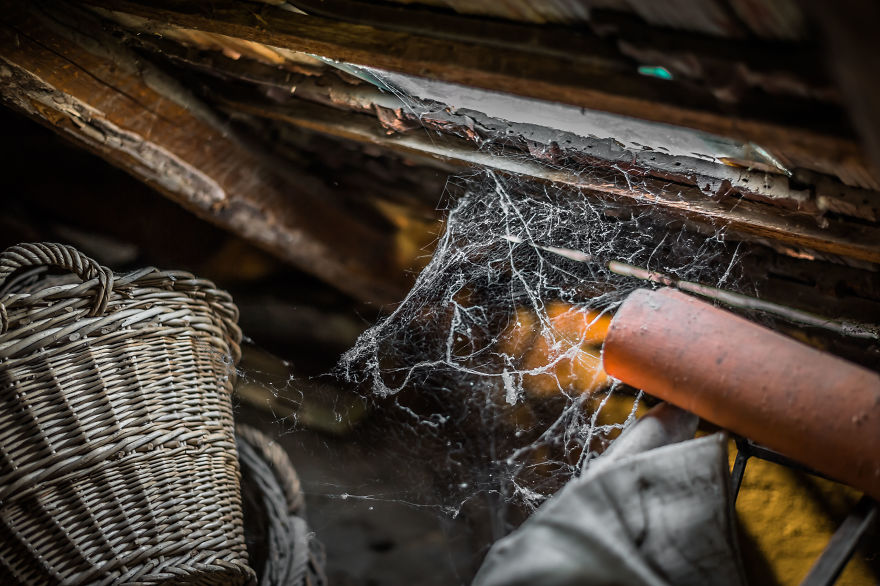 Forgotten Attic Time Capsule