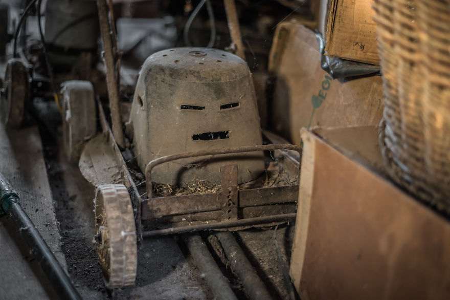 Forgotten Attic Time Capsule