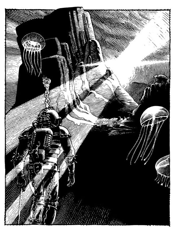 I Spent 27 Years Illustrating Every Page Of Captain Nemo