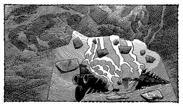 I Spent 27 Years Illustrating Every Page Of Captain Nemo