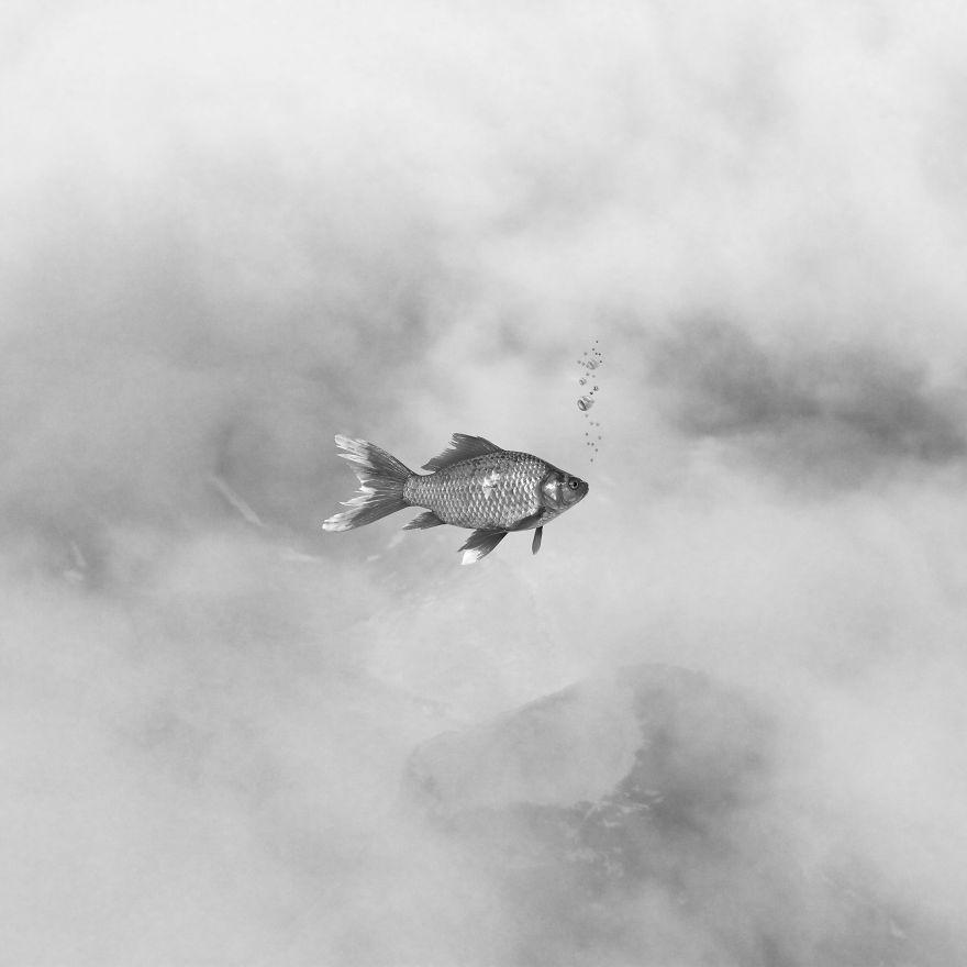 I See The World In A Minimalist Way