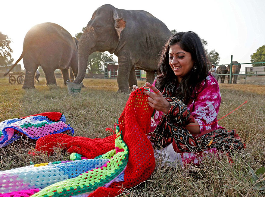 people-knit-giant-sweaters-rescue-elephants-7 people-knit-giant-sweaters-rescue-elephants-7