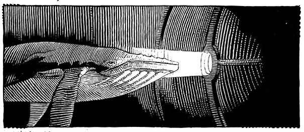 I Spent 27 Years Illustrating Every Page Of Captain Nemo