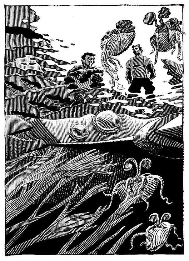 I Spent 27 Years Illustrating Every Page Of Captain Nemo I Spent 27 Years Illustrating Every Page Of Captain Nemo