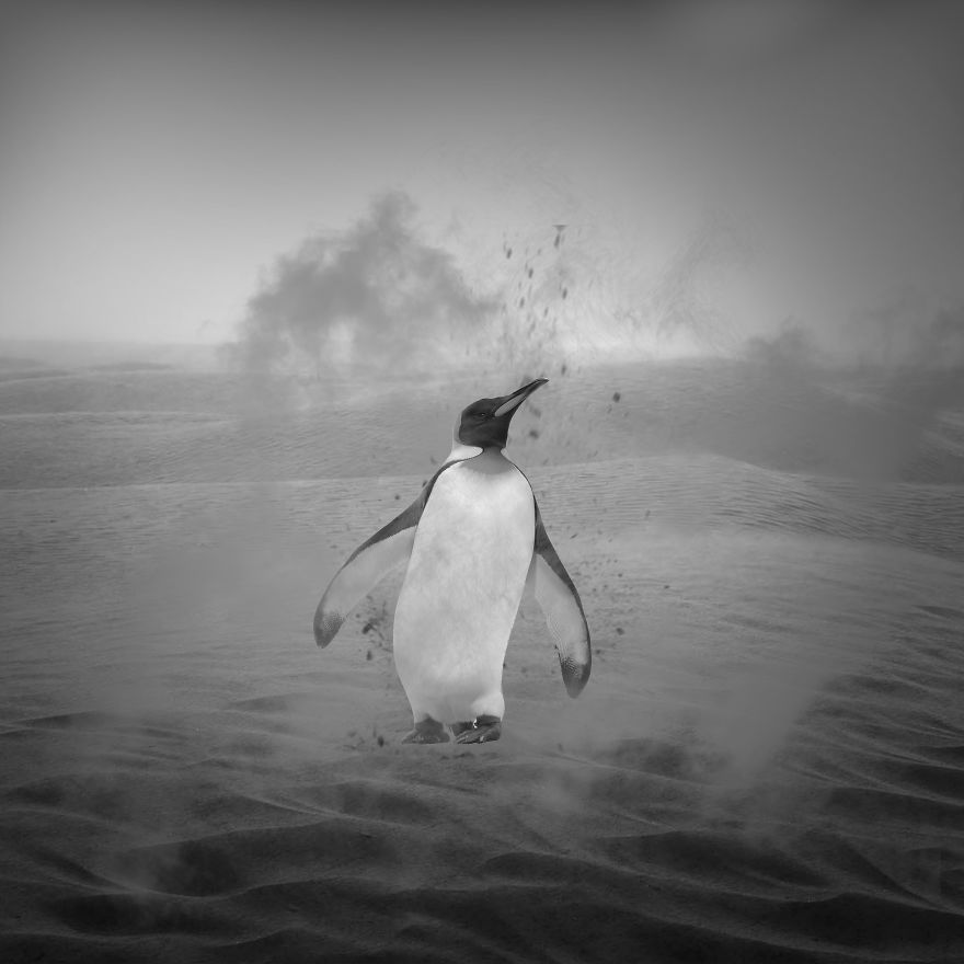 I See The World In A Minimalist Way