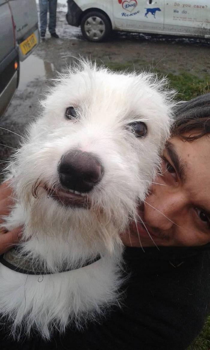 puppy-found-plastic-bag-transylvania-12