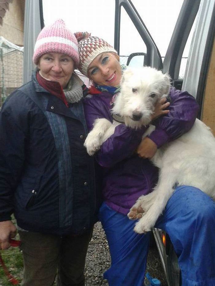 puppy-found-plastic-bag-transylvania-13 puppy-found-plastic-bag-transylvania-13