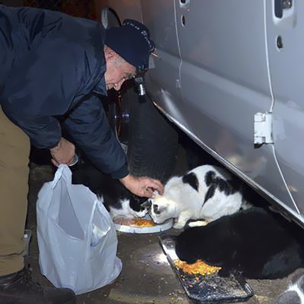 scrap-metal-collector-feeds-cats-willie-ortiz-5 scrap-metal-collector-feeds-cats-willie-ortiz-5
