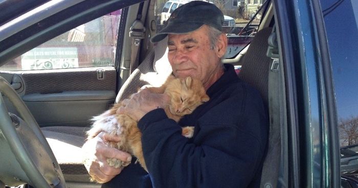 For 22 Years, This Scrap Metal Worker Has Been Feeding Neighboring Cats, Never Missed A Day