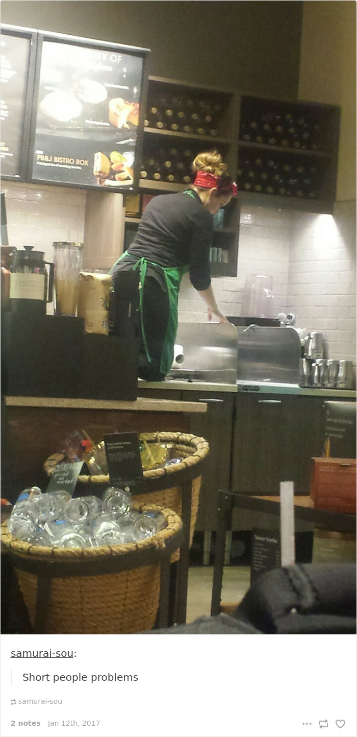 Person in an apron standing on a counter to reach a high shelf, illustrating short people problems in a coffee shop.
