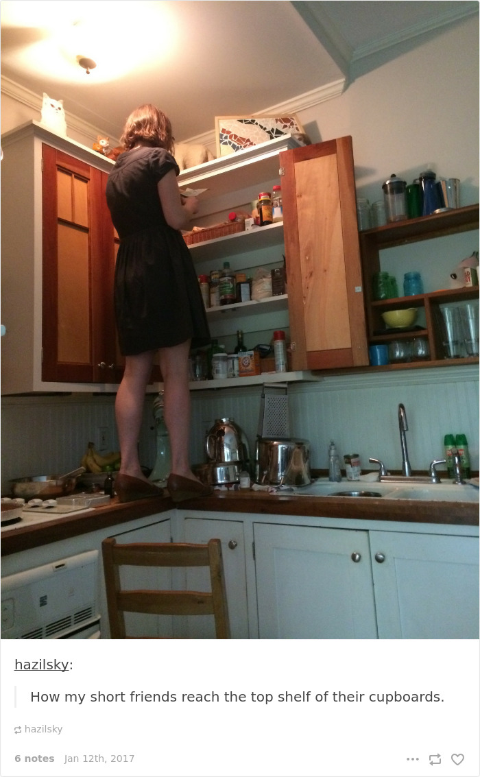 Person standing on kitchen counter to reach top shelf, illustrating a short people problem in everyday life.