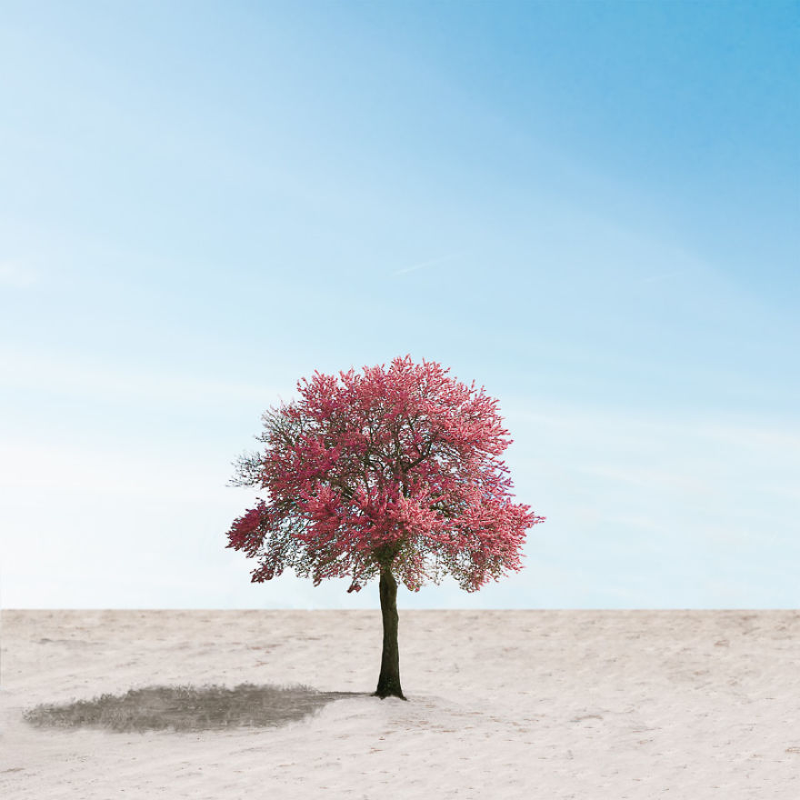 My Two Years As A Hunter Of Lonely Houses.