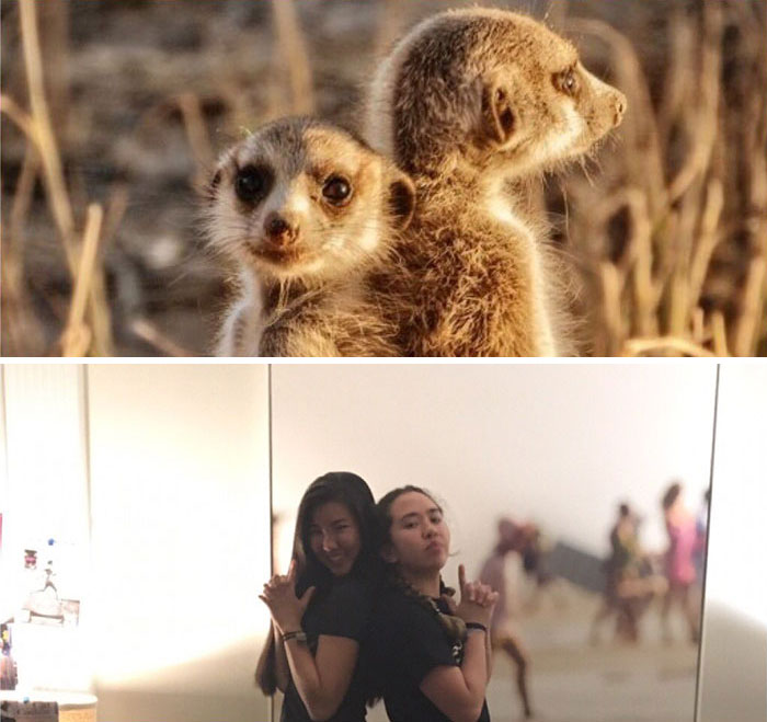 Sorority Girls Pose Like Meerkats