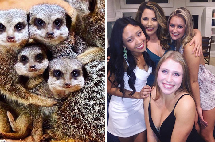Sorority Girls Pose Like Meerkats