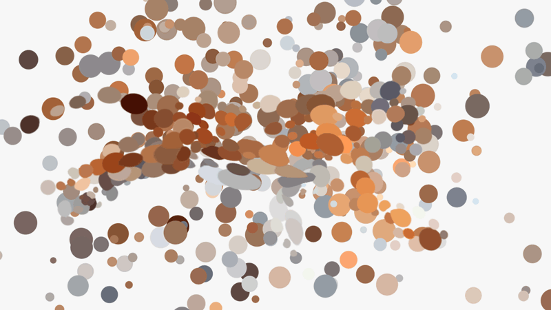 My Gifs Of Animals Emerging From Abstraction My Gifs Of Animals Emerging From Abstraction