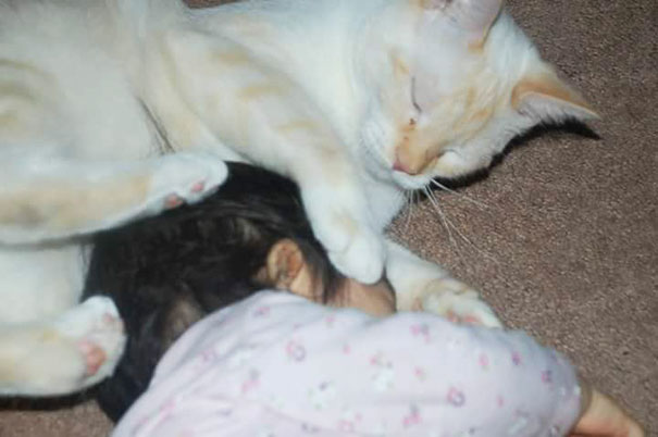 tiny-kitten-baby-girl-best-friends-10 tiny-kitten-baby-girl-best-friends-10