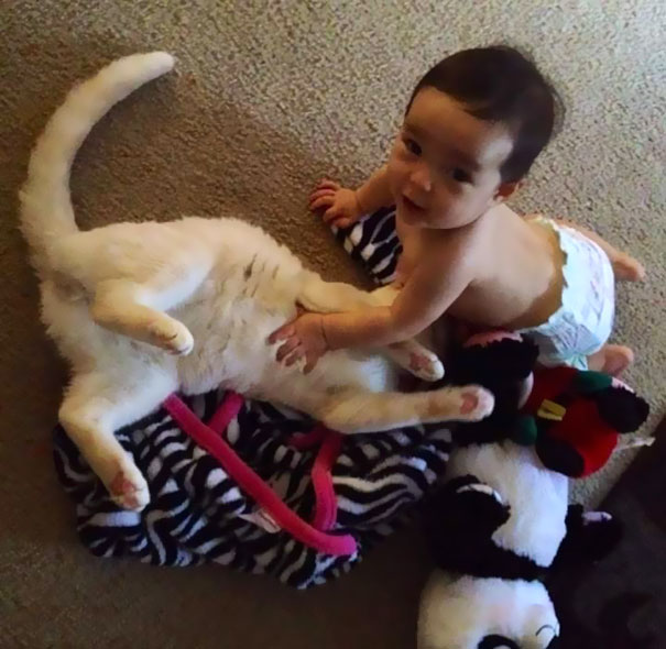 tiny-kitten-baby-girl-best-friends-11 tiny-kitten-baby-girl-best-friends-11