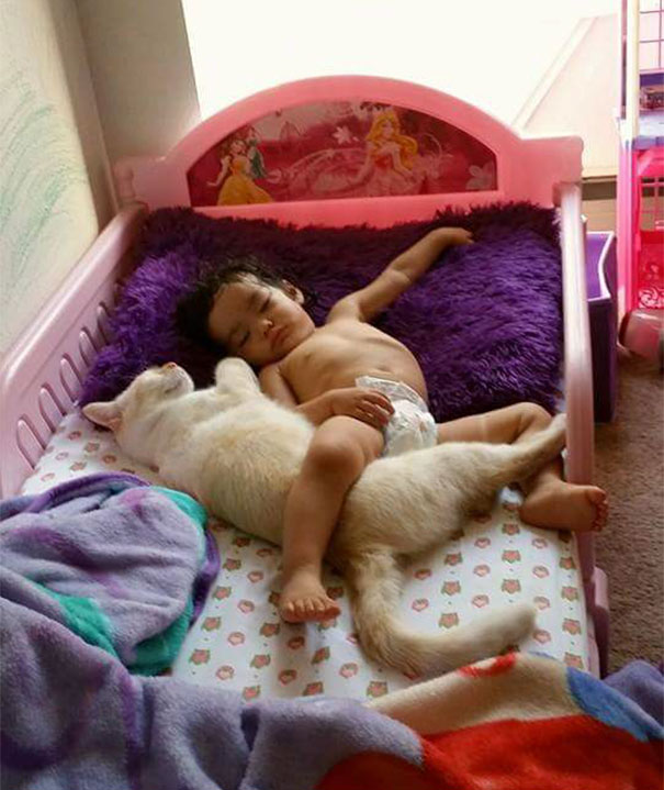 tiny-kitten-baby-girl-best-friends-2 tiny-kitten-baby-girl-best-friends-2