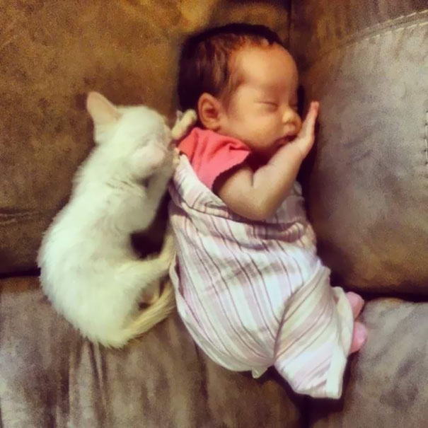 tiny-kitten-baby-girl-best-friends-3 tiny-kitten-baby-girl-best-friends-3