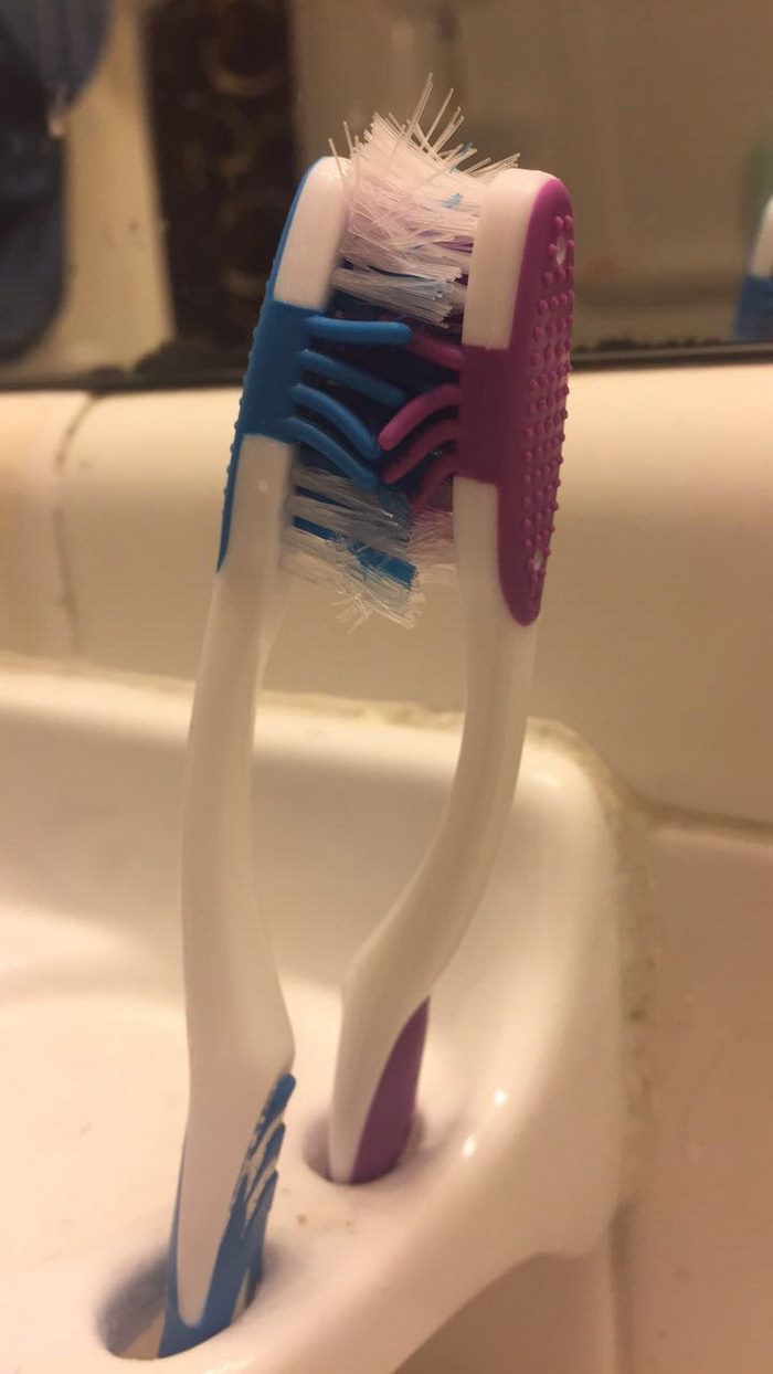 toothbrush-love-story-bristles-4 toothbrush-love-story-bristles-4