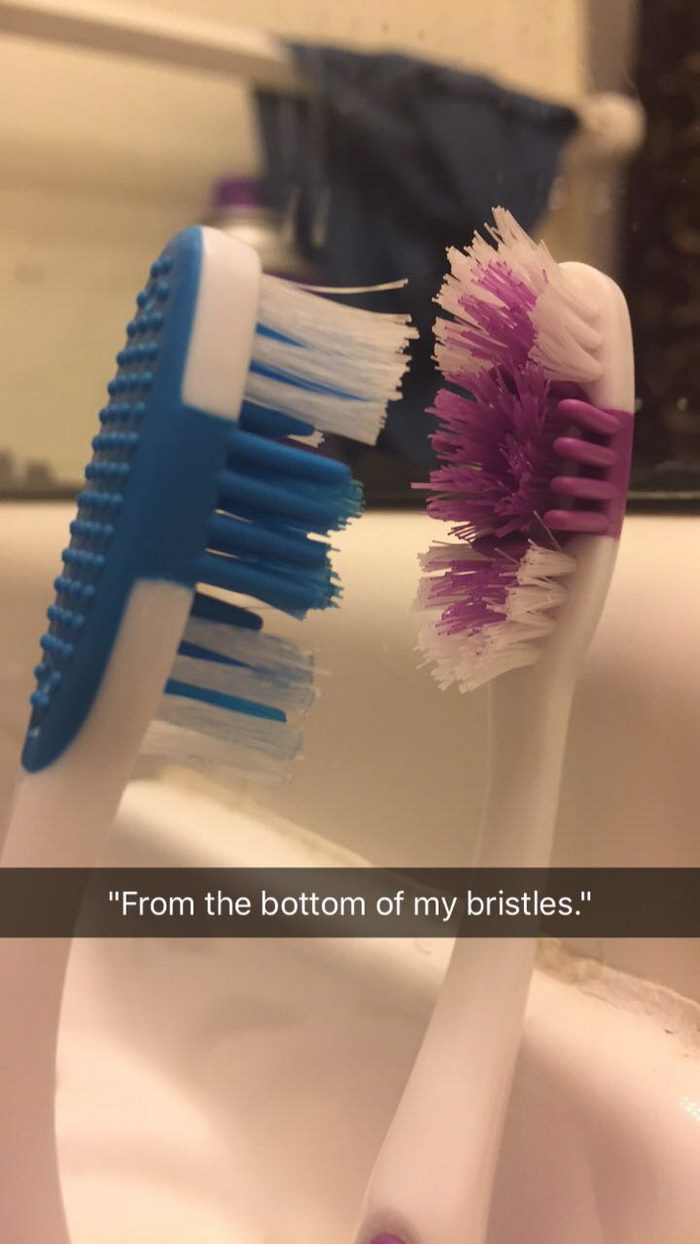 toothbrush-love-story-bristles-7 toothbrush-love-story-bristles-7