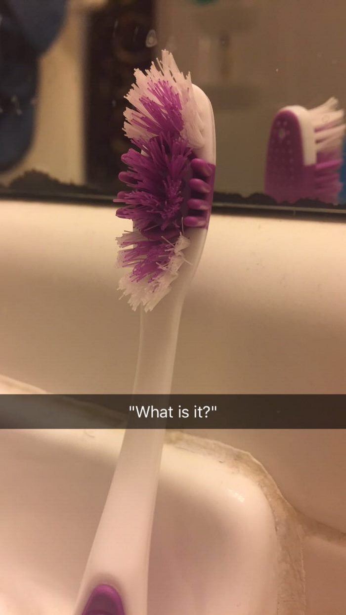 toothbrush-love-story-bristles-9 toothbrush-love-story-bristles-9