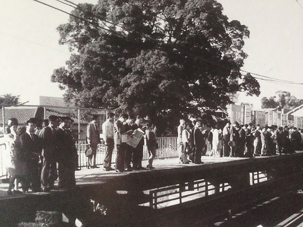 train-station-700-year-old-tree-kayashima-japan-3 train-station-700-year-old-tree-kayashima-japan-3
