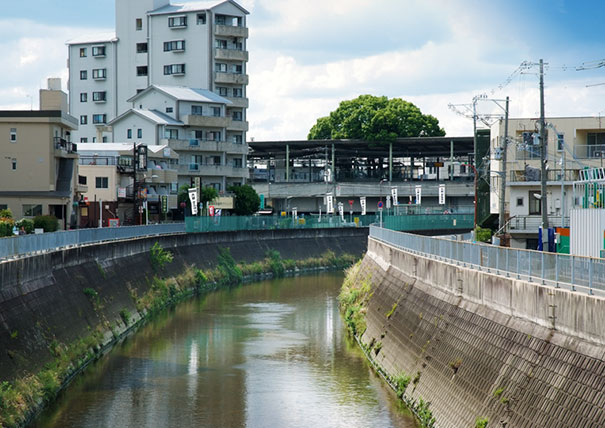 train-station-700-year-old-tree-kayashima-japan-6 train-station-700-year-old-tree-kayashima-japan-6