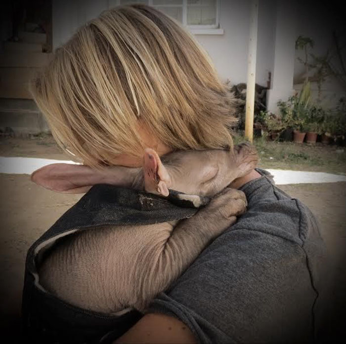 truck-driver-finds-baby-aardvark-namibia-11 truck-driver-finds-baby-aardvark-namibia-11