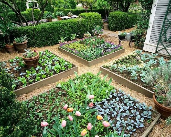 Diy Beautiful Garden Designs Ideas Diy Beautiful Garden Designs Ideas