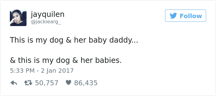 white-dogs-black-puppies-mocca-texas-7 white-dogs-black-puppies-mocca-texas-7