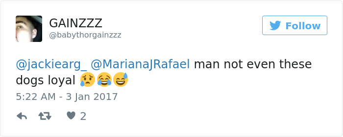 white-dogs-black-puppies-mocca-texas-8 white-dogs-black-puppies-mocca-texas-8