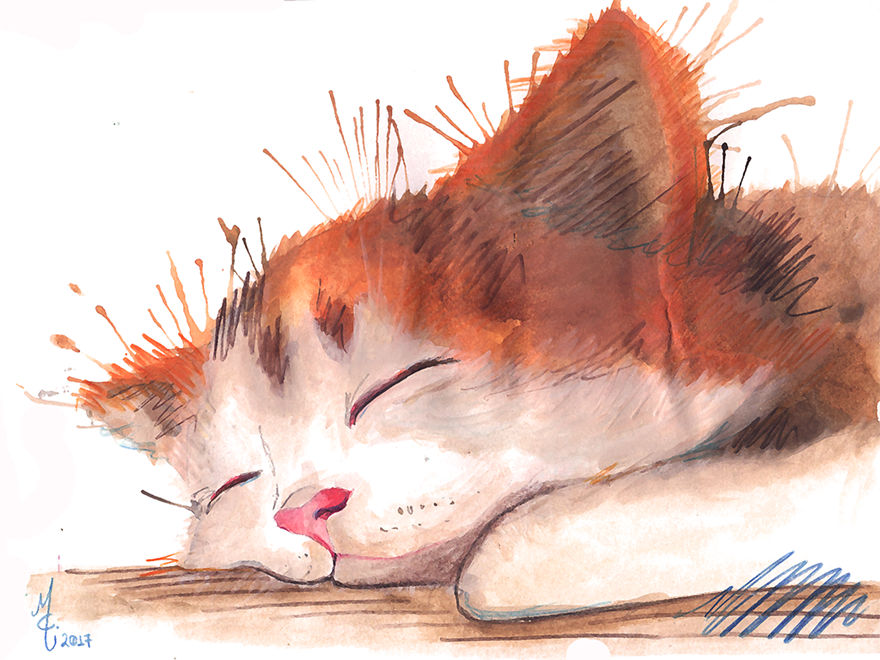 Watercolor Animals By Illustrations Of Dreams