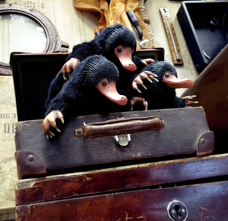 We Create Magical Nifflers From The Movie "Fantastic Beasts And Where Are To Find Them"