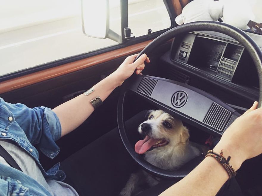 We Decided To Sell Everything We Had And Buy A Van Named Chewie