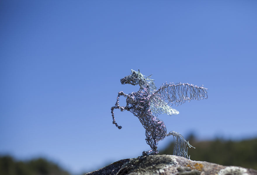I Create Animal Sculptures Using Wire To Spread Awareness About Our Endangered Nature