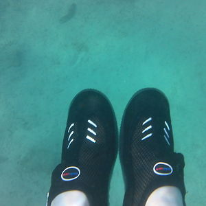 serbanrebegea avatar