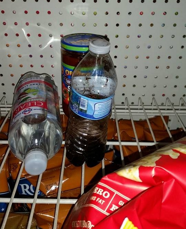 This Is Why Some Walmart Customers Need To Be Exterminated.