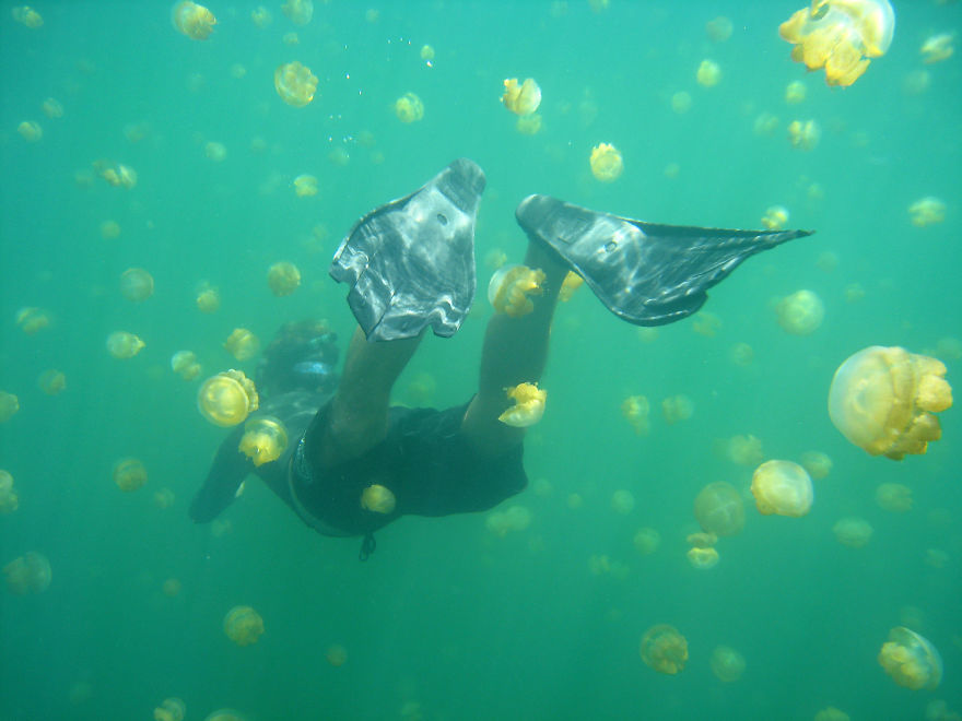 A Story Of Coming Home To Myself