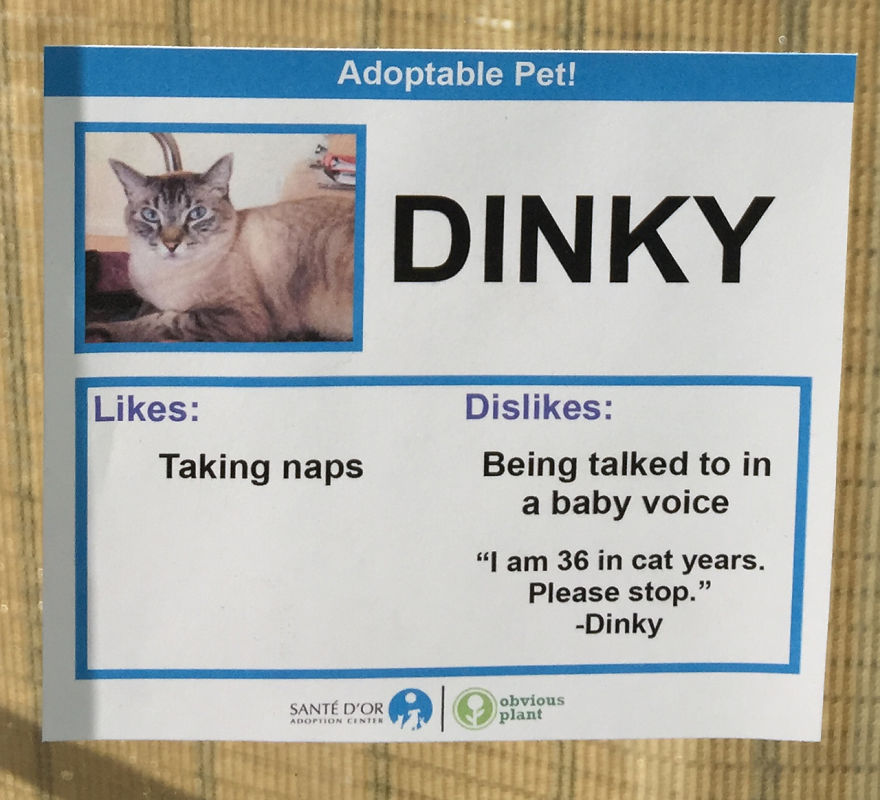 Dinky