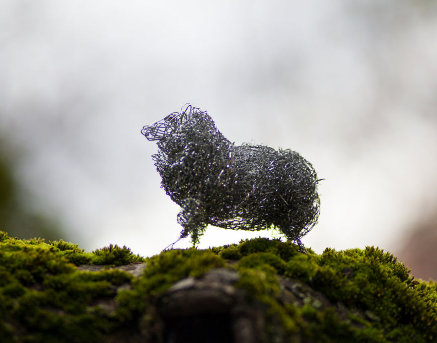 I Create Animal Sculptures Using Wire To Spread Awareness About Our Endangered Nature