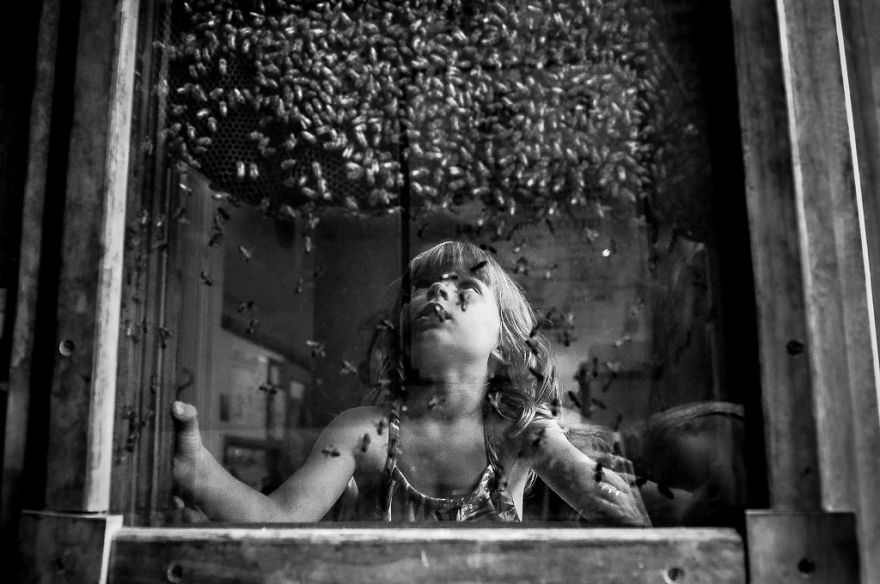 Looking For The Queen By Magdalena Hutchins, Poland/usa (1st Place In The Documentary And Street Category, Second Half)