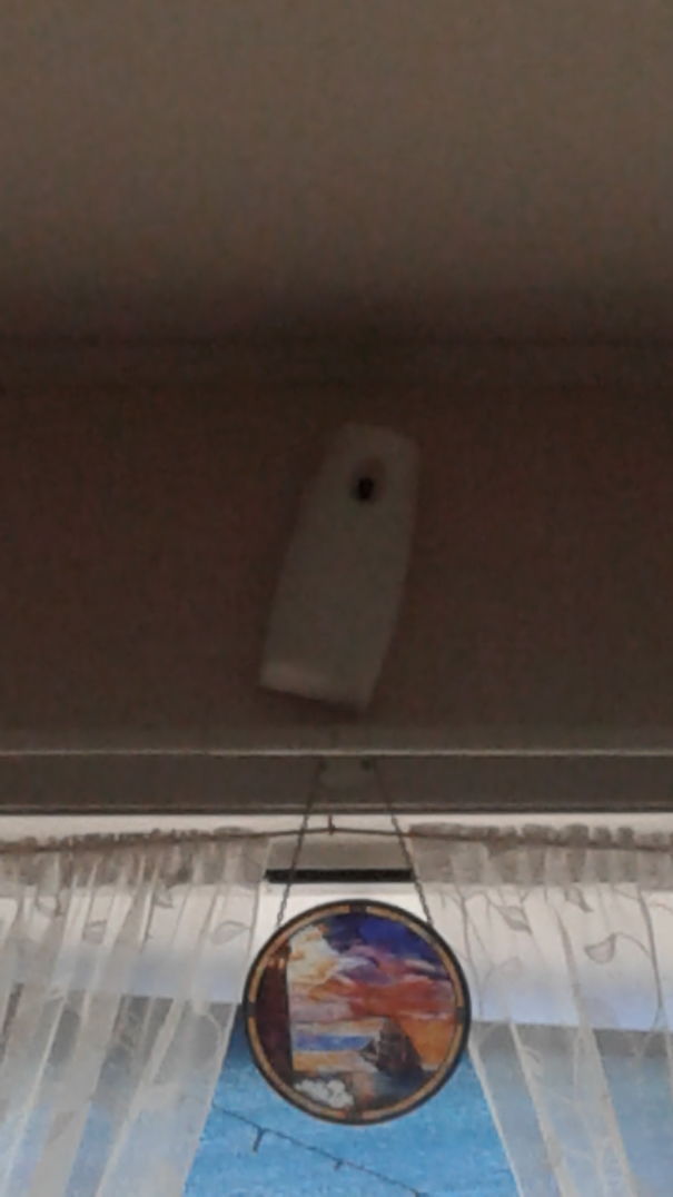 Bug Spray At My Parents House