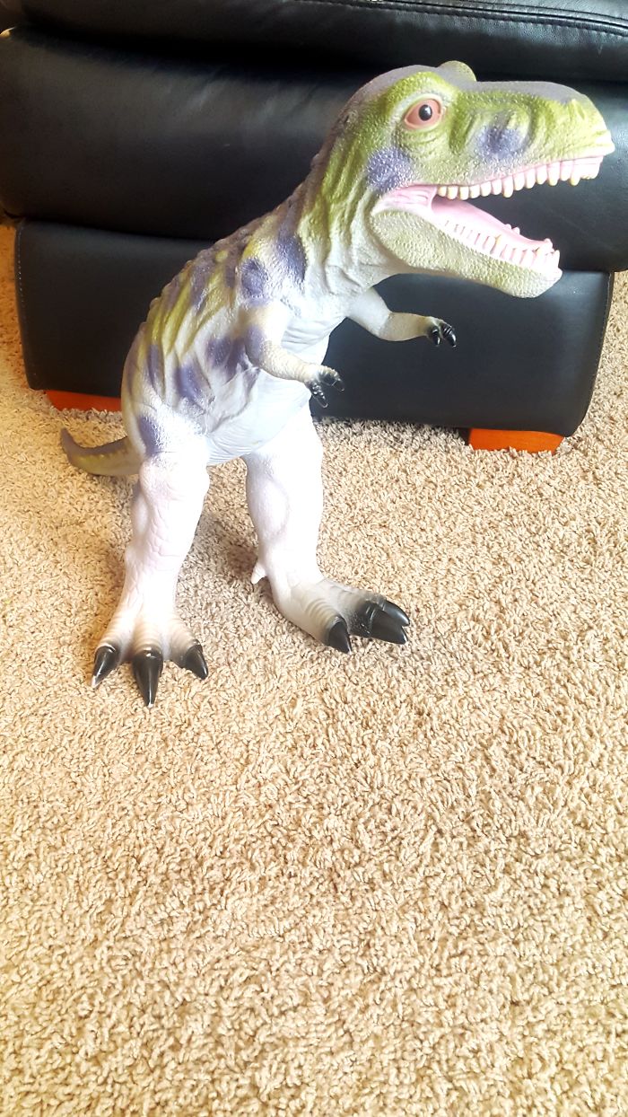 I Mentioned That I Found The Jurassic Period Fascinating So This Was My X-mas Gift From Grandma, I'm 32. Luckily My 5 Year Old Thinks It's Awesome!