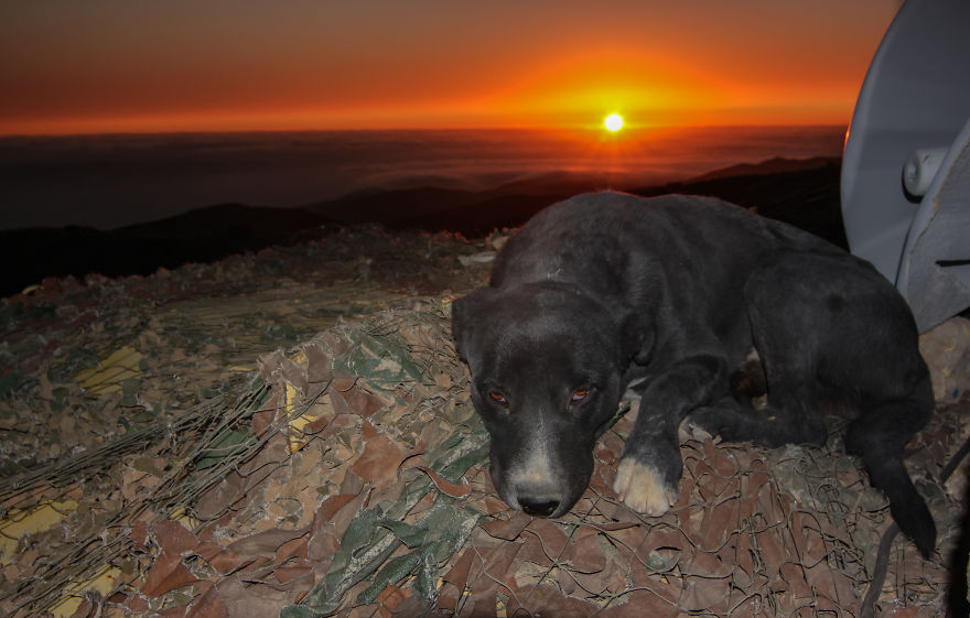 The Golan Heights-Between Heaven And A War Zone The Golan Heights-Between Heaven And A War Zone