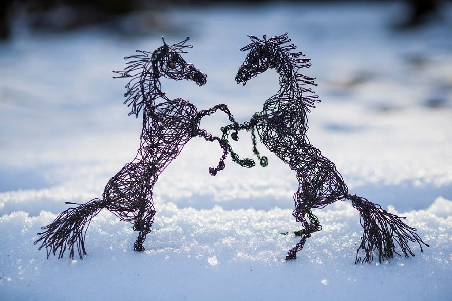 I Create Animal Sculptures Using Wire To Spread Awareness About Our Endangered Nature