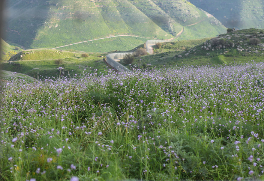 The Golan Heights-Between Heaven And A War Zone