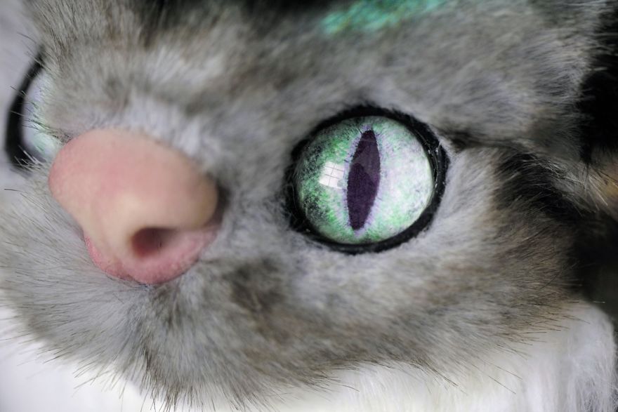 I Have Created My Own Version Of Cheshire Cat I Have Created My Own Version Of Cheshire Cat